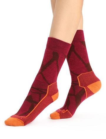 Cherry / Espresso Icebreaker Merino Hike+ Medium Crew Fractured Landscapes Women's Socks | AU 1406FDNM